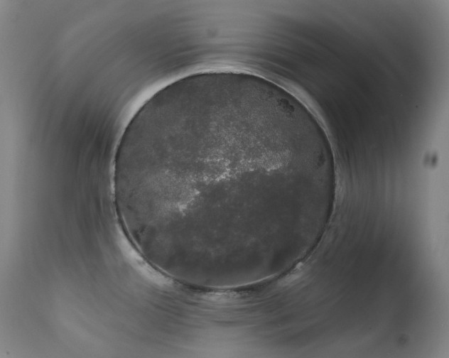 X0000111441388200907131255