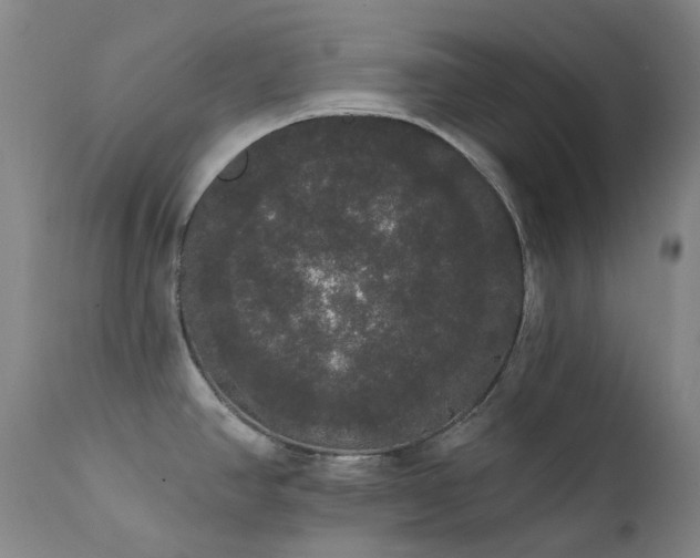 X0000111441390200907131255