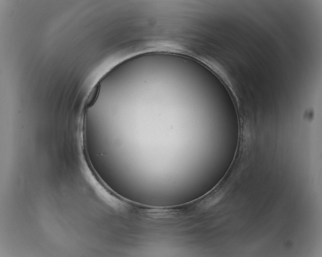 X0000111441391200907131255