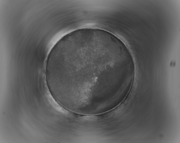 X0000111441392200907131255