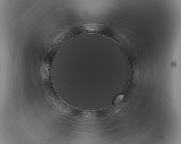 X0000111441394200907131254
