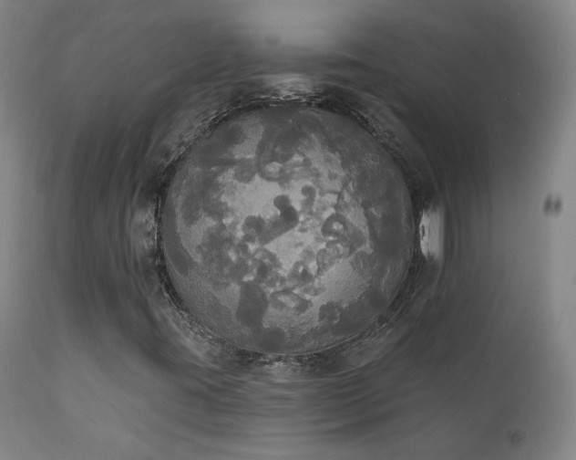 X0000111441395200907131254