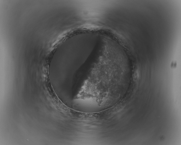 X0000111441397200907131254