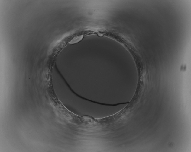 X0000111441398200907131254