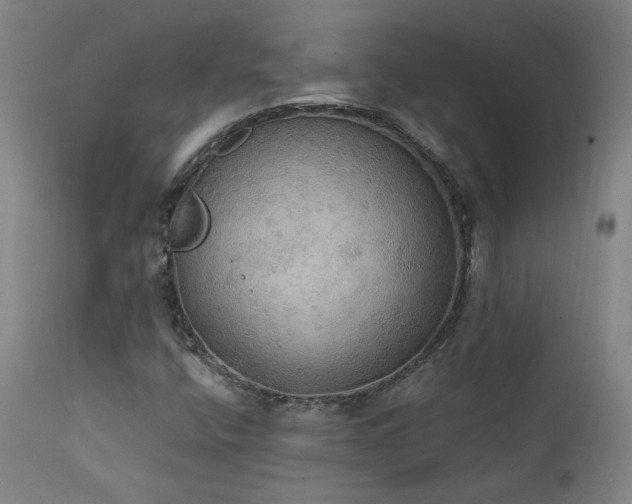 X0000111441400200907131254