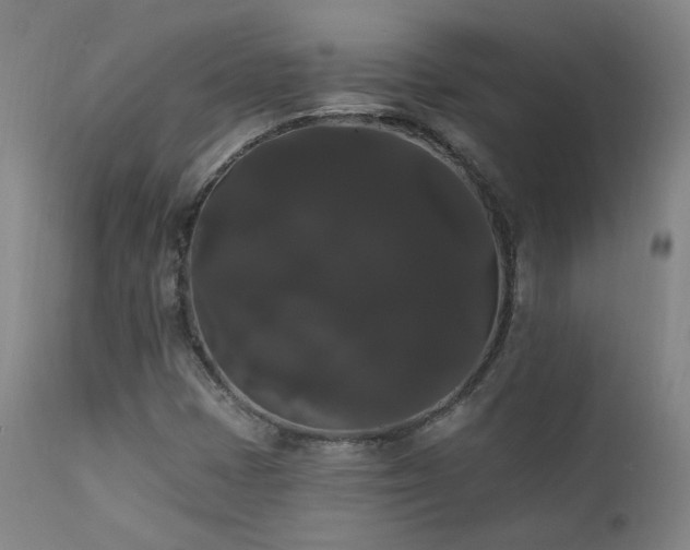 X0000111441401200907131254