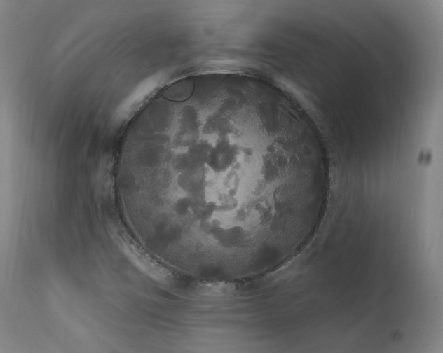 X0000111441403200907131254