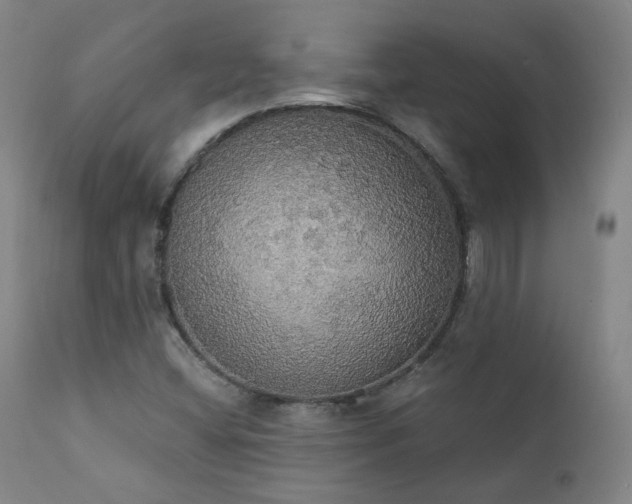 X0000111441404200907131254