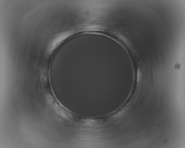X0000111441405200907131254