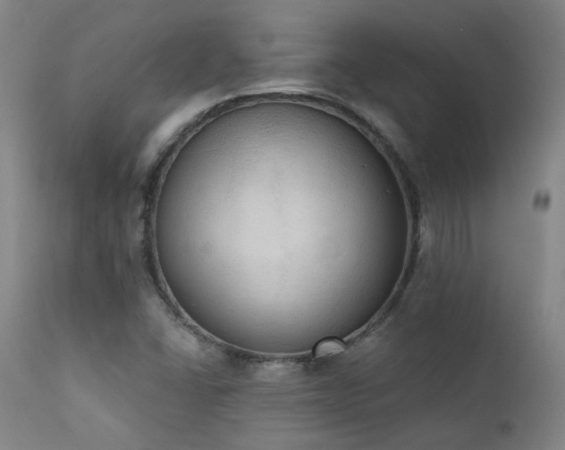 X0000111441406200907131254