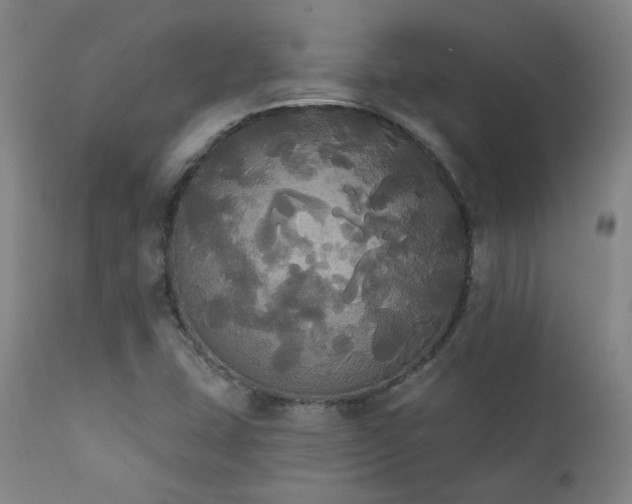 X0000111441407200907131254