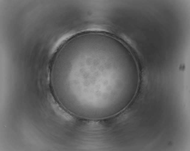 X0000111441408200907131254