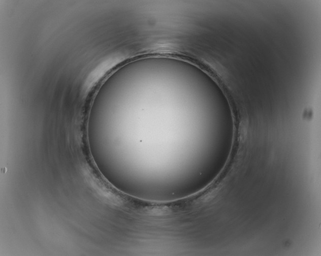 X0000111441410200907131254