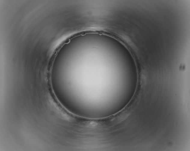 X0000111441412200907131254
