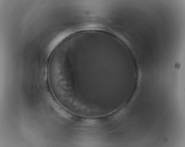 X0000111441413200907131254