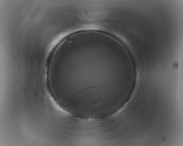X0000111441414200907131254