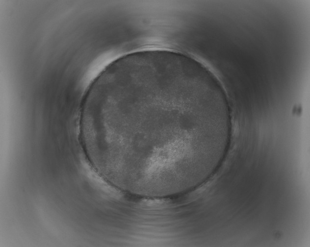 X0000111441415200907131254