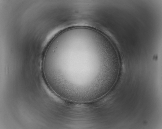 X0000111441416200907131254