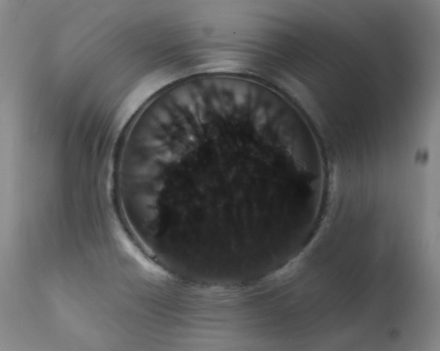X0000111441418200907131254