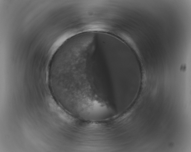 X0000111441419200907131254