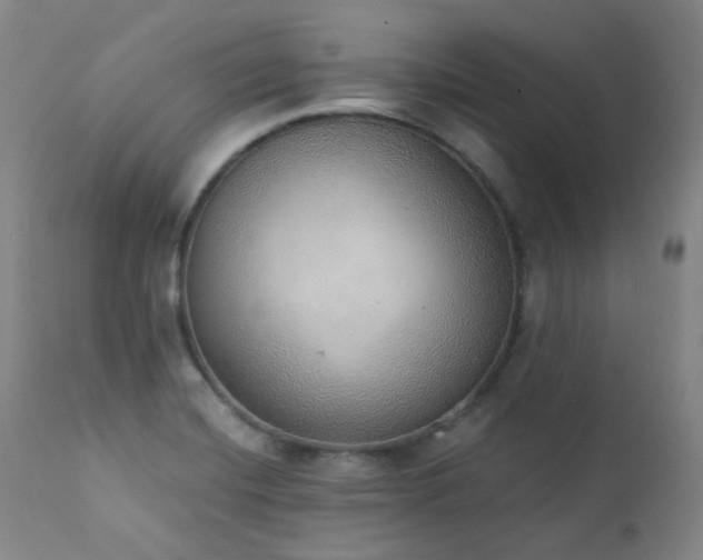 X0000111441420200907131254
