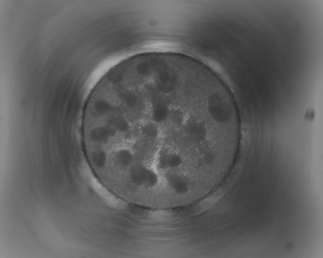 X0000111441421200907131254