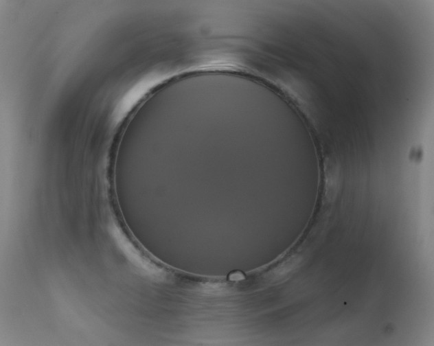 X0000111441422200907131254