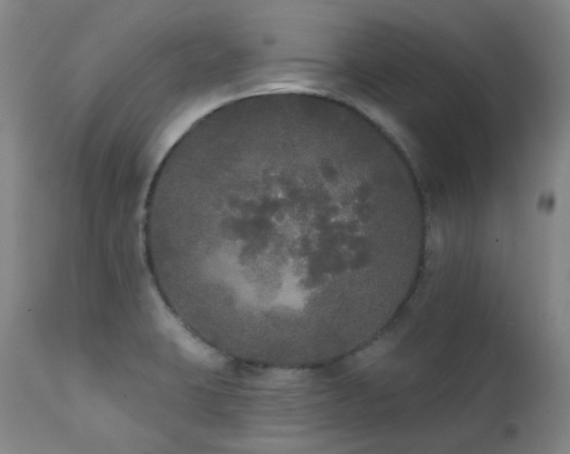 X0000111441423200907131254