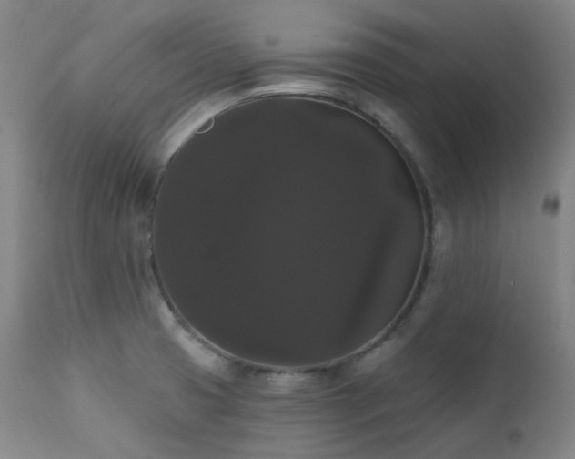 X0000111441425200907131254
