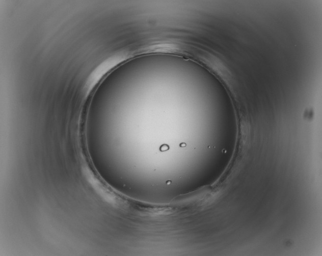 X0000111441426200907131254