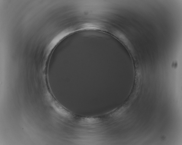 X0000111441427200907131254
