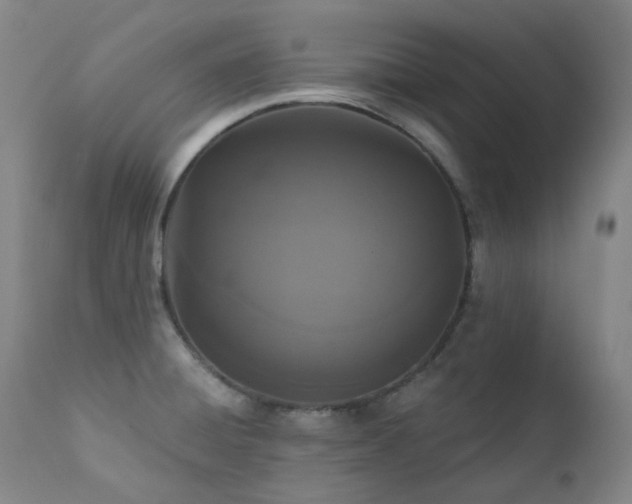 X0000111441428200907131254