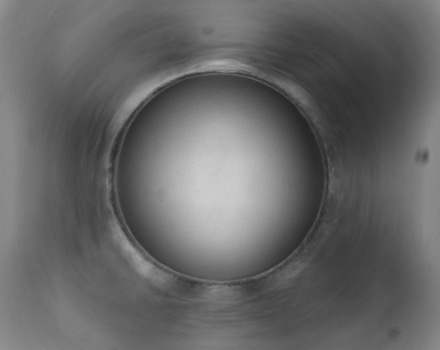 X0000111441430200907131254