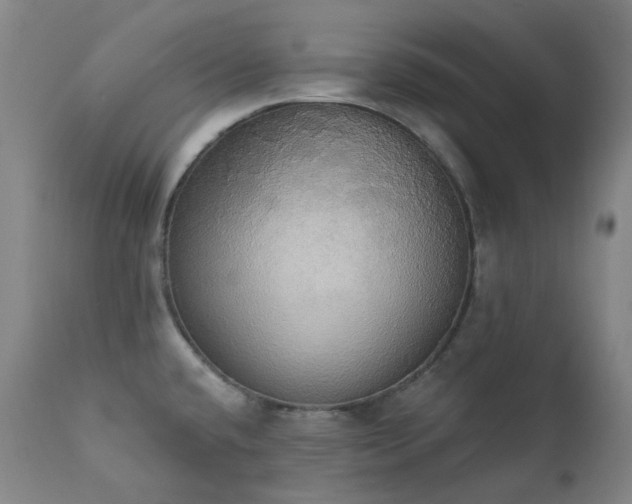 X0000111441432200907131254