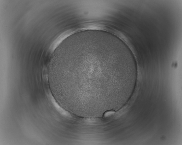 X0000111441433200907131254