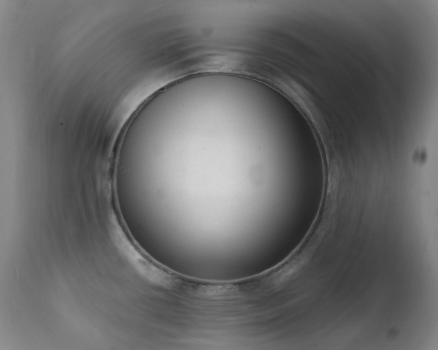 X0000111441434200907131254