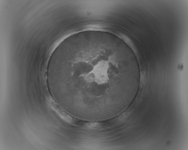 X0000111441435200907131254