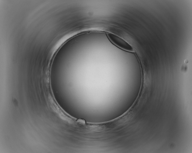 X0000111441436200907131254