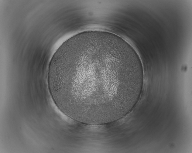 X0000111441437200907131254