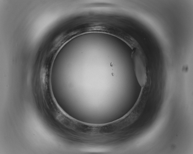 X0000111441438200907131254