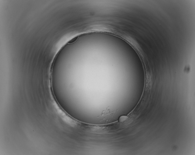 X0000111441439200907131254