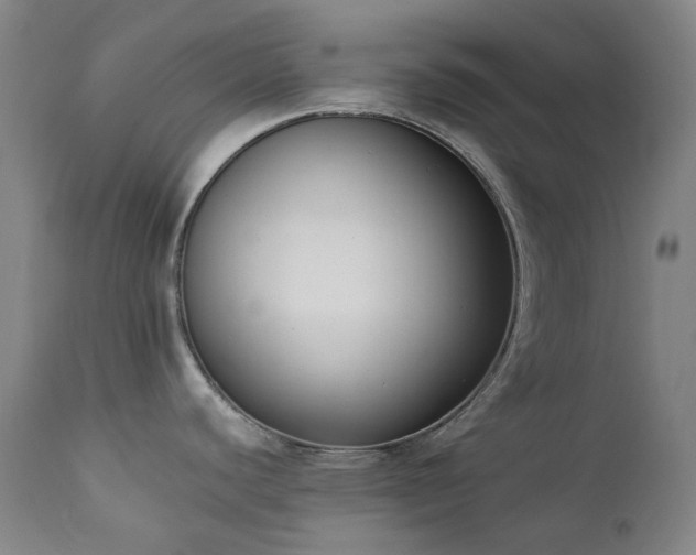 X0000111441440200907131254