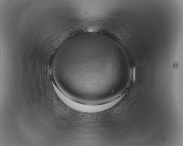 X0000111441443200907131254