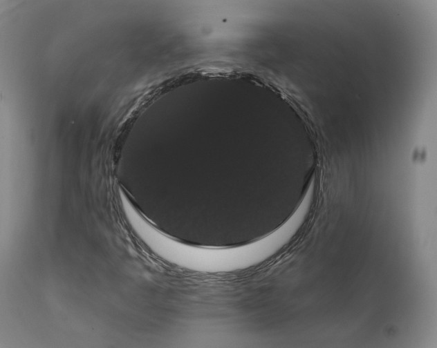 X0000111441445200907131254