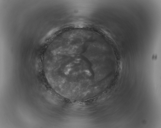 X0000111441446200907131254