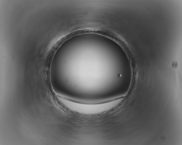 X0000111441448200907131254