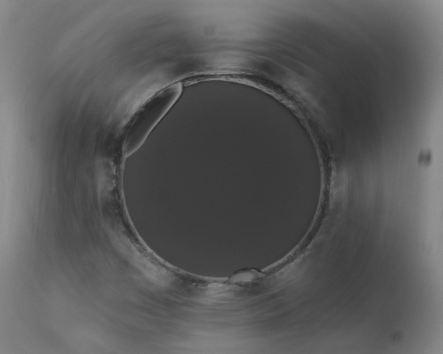 X0000111441449200907131254