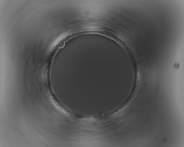 X0000111441450200907131254
