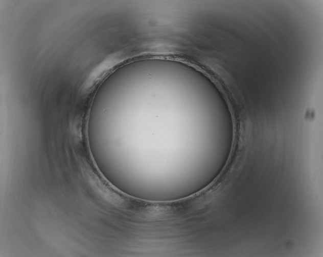 X0000111441451200907131254