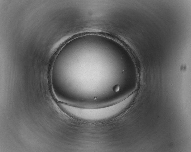 X0000111441452200907131254